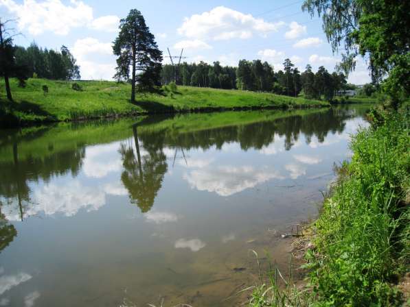 Дача, рядом лес, пруд для купания и рыбалки, Дешево в Серпухове фото 7