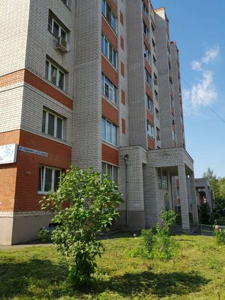 Сдается 1-к квартира, 41 м2, 3/10 эт в Фрязине фото 9