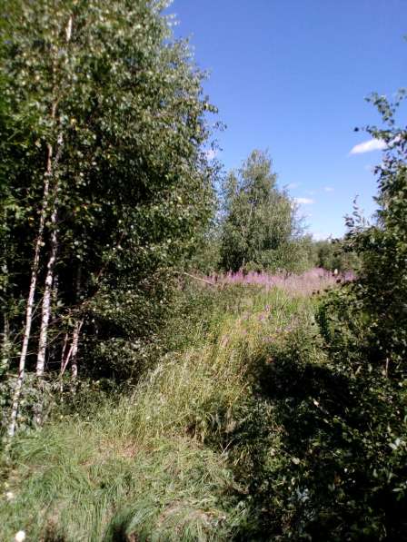 Участок 12 соток, 35 км от МКАД в Москве фото 10