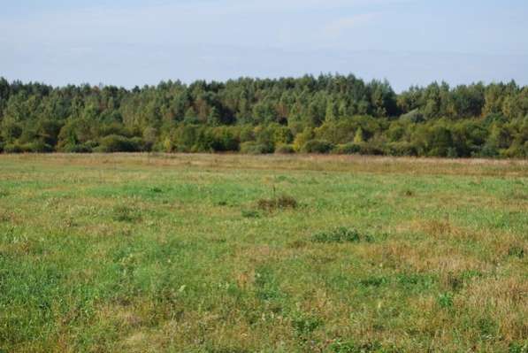 Продаю 10,5га в Гагаринском районе Смоленской области в Гагарине фото 8