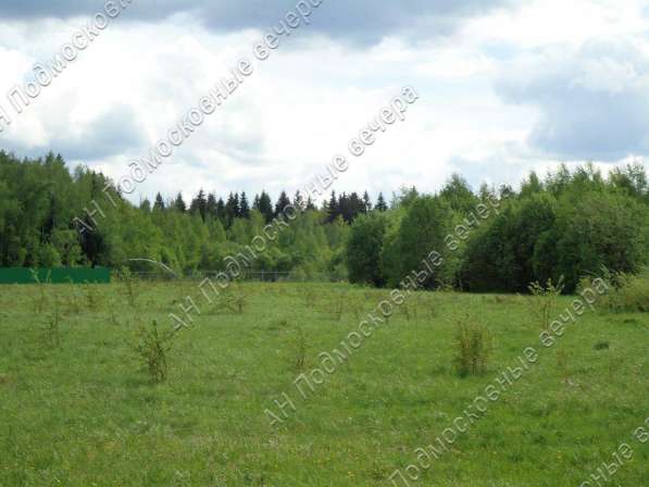 realty_mapper3.plot_in_locationПлощадь 253.00 сот.Есть Электричество, Газ. в Москве фото 8