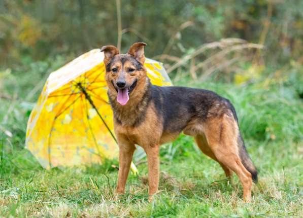 Алекс, молодой, некрупный парень-стесняшка ищет дом в Москве