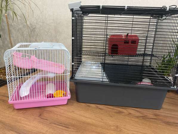 Клетка для хомяка