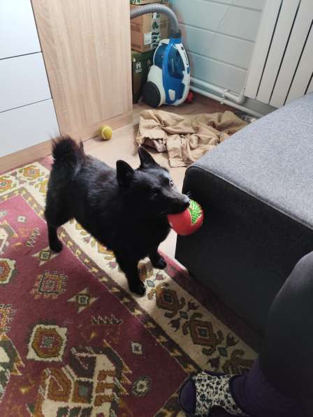 Отдаем хорошим людям