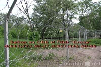 Забор из колючей проволоки в Казани фото 4