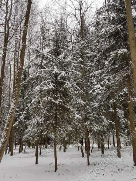 realty_mapper3.plot_in_locationИндивидуальное жилищное ст-во. Есть Электричество, Газ. в Москве фото 3