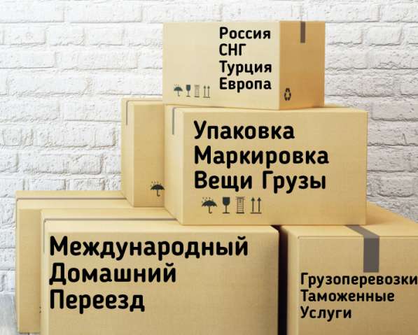 Грузоперевозки Карго Авиапочта в 