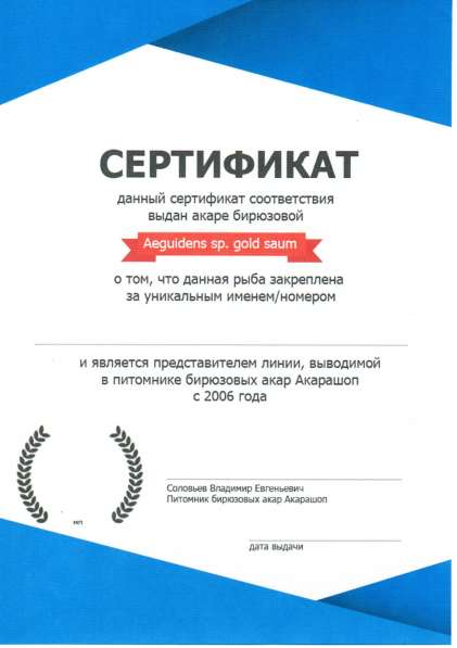 Акара бирюзовая из питомника АКАРАШОП в Москве
