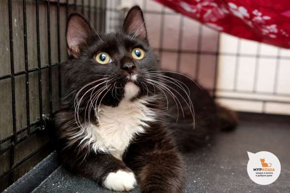 Дуглас хочет сделать вас счастливее