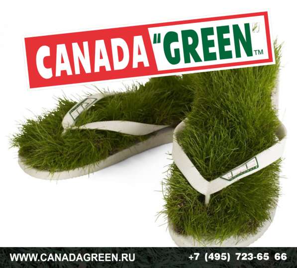 Газон КАНАДА ГРИН в Москве фото 9