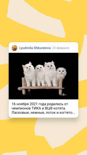 Scottish Pride в Санкт-Петербурге фото 11