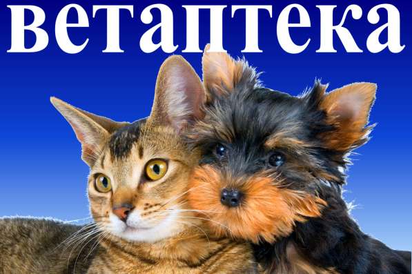 Ветаптека в Череповце фото 6