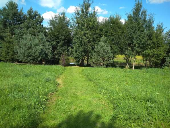 Агроусадьба под Минском на ЧМ в фото 7