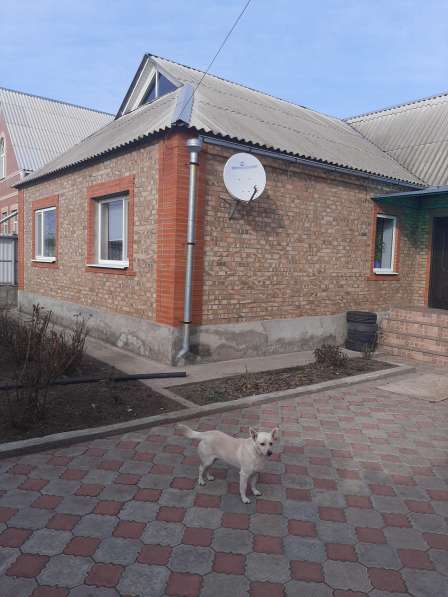 Дом по побережью Азовского моря в Таганроге фото 14