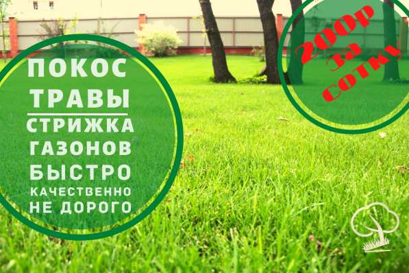 Стрижка Покос Газонов и Травы Косить трава