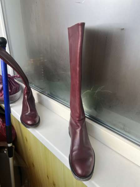 Сапоги демисезонные