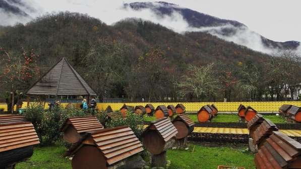 Экскурсии из Голвинки, Вардане и Лоо в Абхазию в Сочи фото 18