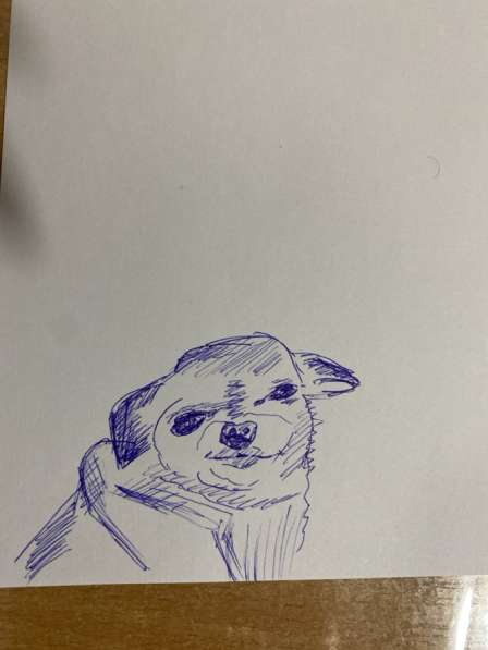 Рисуем собачку