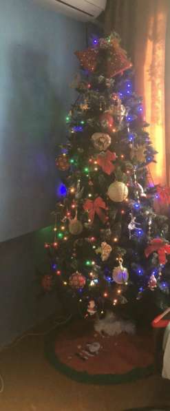 Искусанная елка в Ростове-на-Дону фото 3