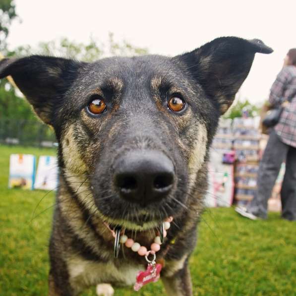 Ласковая и весёлая Мира в Москве