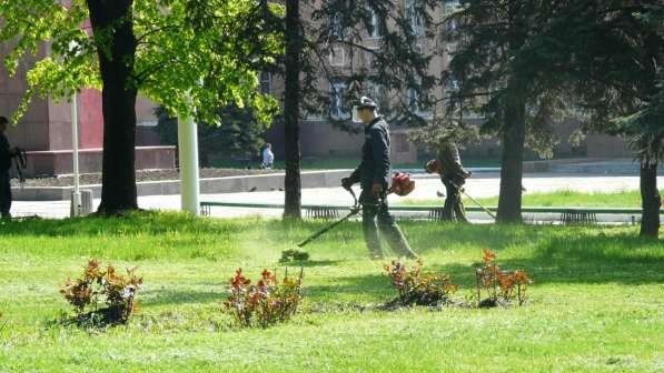 Опил деревьев, покос травы триммером в Воронеже в Воронеже