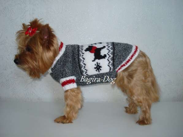 Свитера для собак ручной работы в Москве фото 22