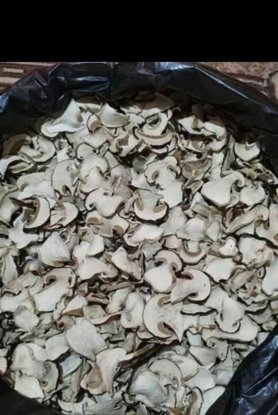 Белый гриб сушеный высший сорт(экстра) в Анапе фото 3