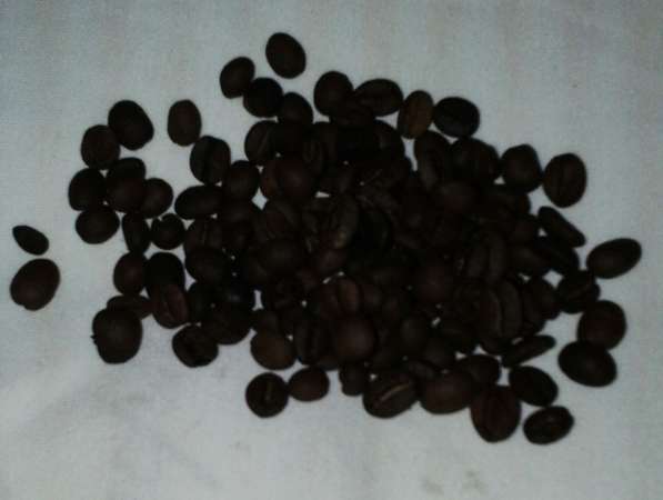 Кофе в зернах Casher Арабика Никарагуа Марагоджип