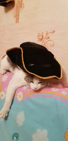 Костюм новогодний в Красноярске фото 4