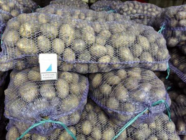 Картофель оптом