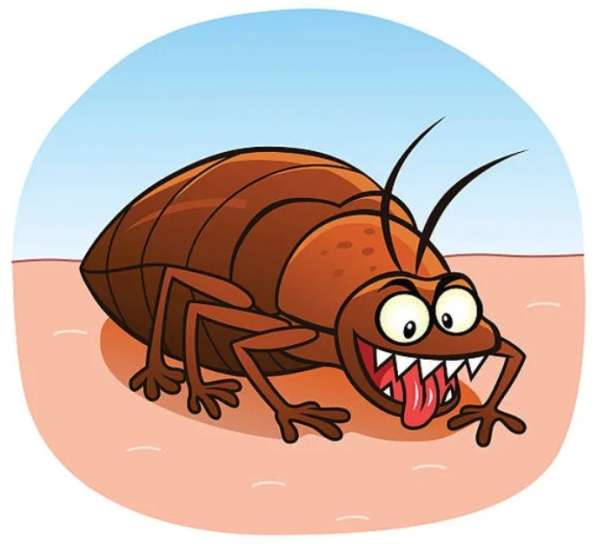Уничтожение тараканов в Апрелевке