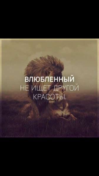 Отдам двухлетнего котика! в Балашихе