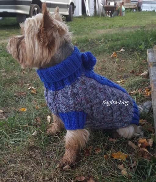 Свитера для собак ручной работы в Москве фото 47