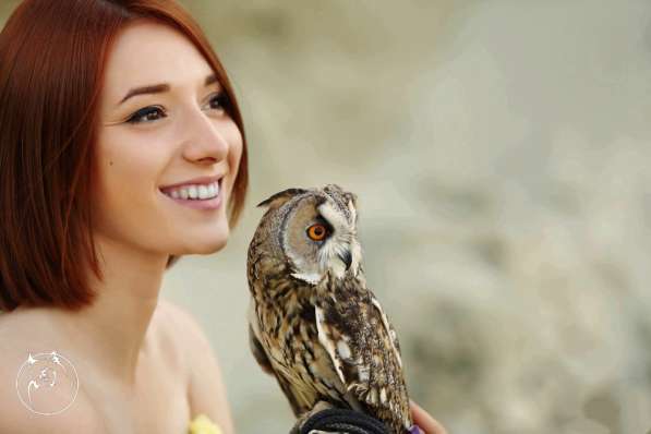 Представительские услуги в Москве фото 3