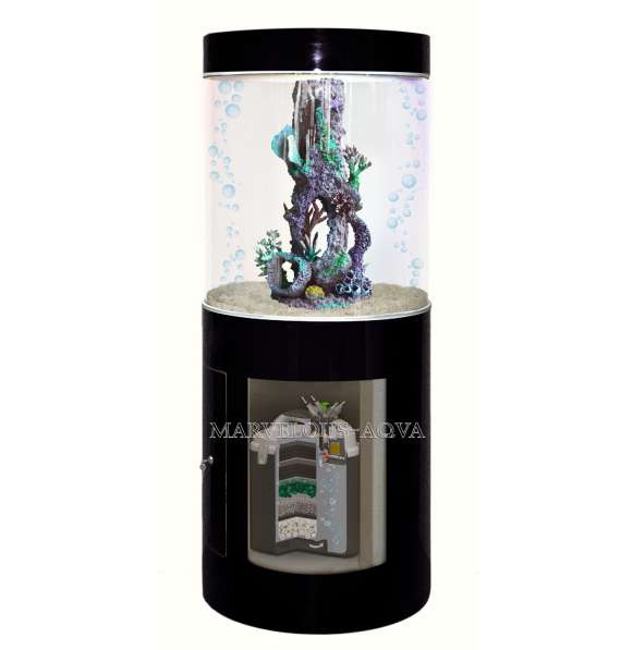 Магазин аквариум в Челябинске фото 10