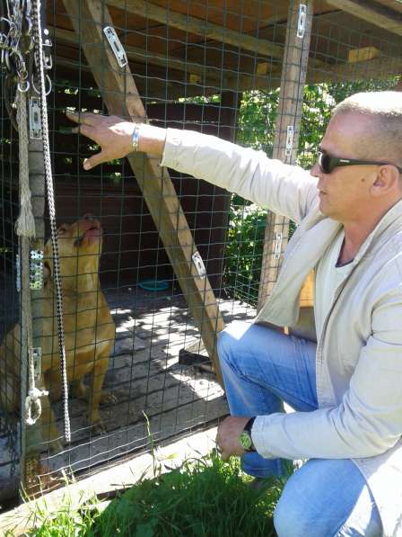 Raimondas-albinas, 47 лет, хочет найти новых друзей в 