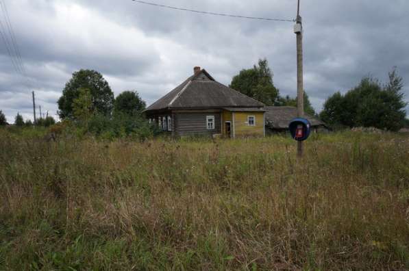 Бревенчатый дом в тихой деревне, недалеко от речки в Ярославле фото 14