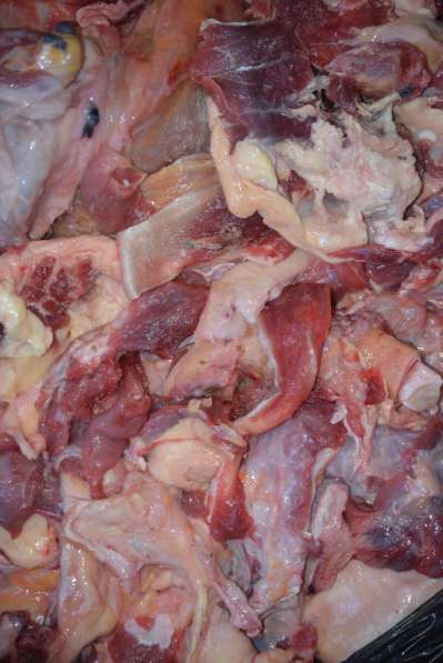Мясопродукты для животных в Калуге