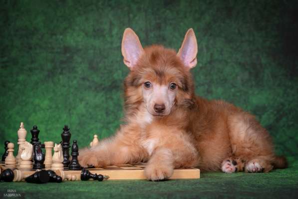 КХС в Москве фото 12