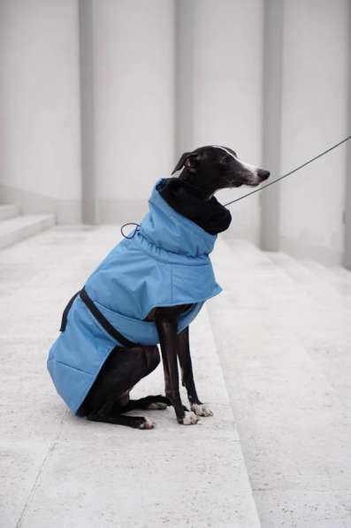 Одежда для собак всех размеров !! в фото 9