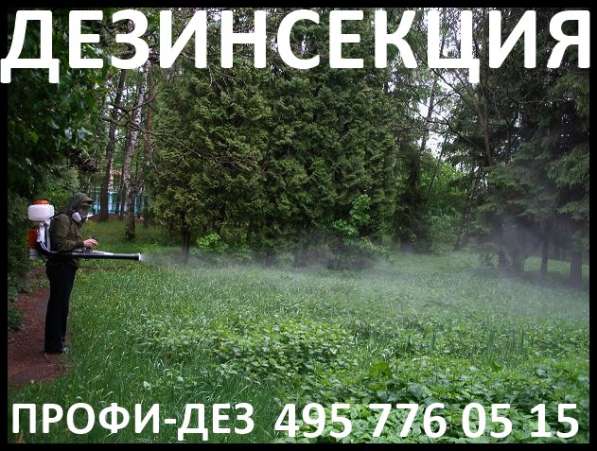 Уничтожение клопов, тараканов, блох, клещей Профи-Дез в Ногинске фото 5