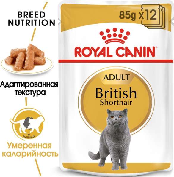 Консервы Royal Canin "British Shorthair Adult", для кошек бр в Москве