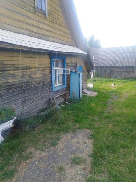 Продам дом в беларусии в фото 6