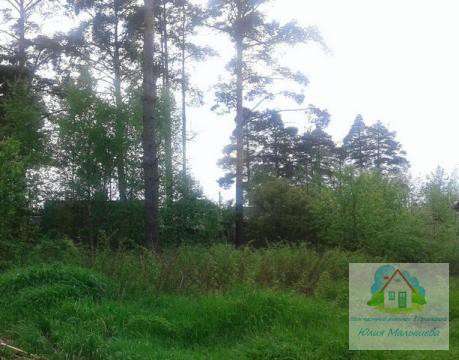 realty_mapper3.plot_in_locationПлощадь 25.00 сот.Есть Водопровод. в Санкт-Петербурге фото 3