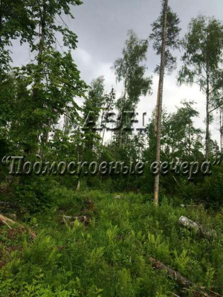 realty_mapper3.plot_in_locationИндивидуальное жилищное ст-во. Площадь 9.00 сот.Есть Водопровод. в Москве