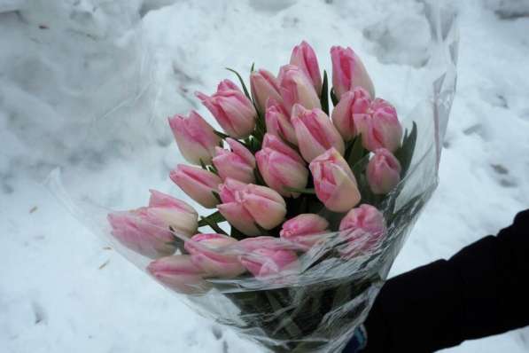 Тюльпаны оптом и в розницу к 8 марта! в Воронеже фото 5