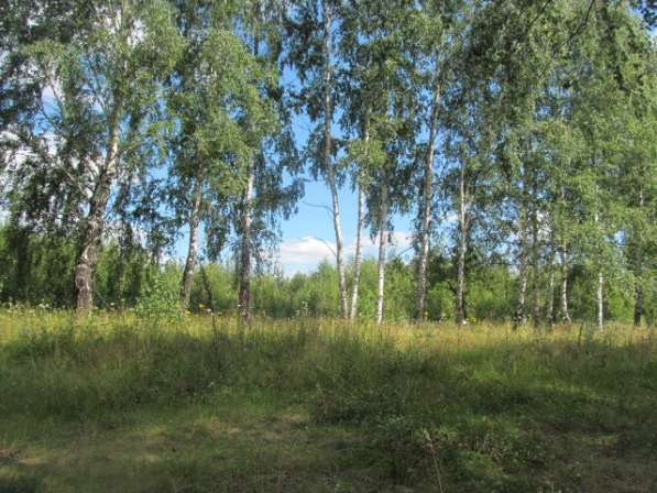 Под коттедж в Рубцово 10 соток в Рязани фото 32