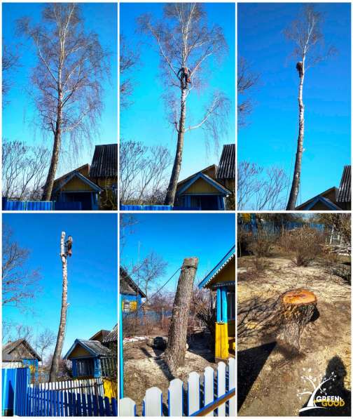 Поможем безопасно спилить аварийное дерево в фото 5