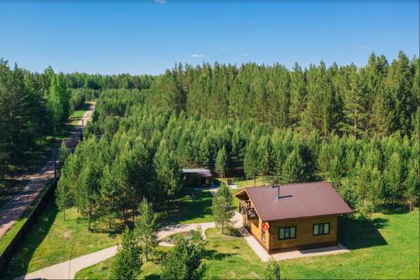 Земельный участок с озером и лесом в Красноярске фото 9