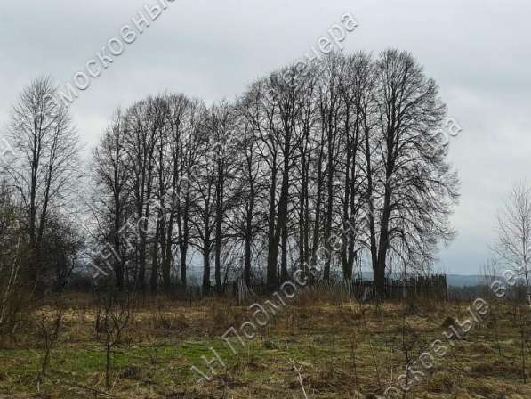 realty_mapper3.plot_in_locationПлощадь 31.00 сот.Есть Электричество, Газ. в Москве фото 3